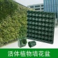 室内懒人植物墙花盆壁挂式套装墙上垂直立体绿化种植盒绿植墙挂墙