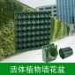蜂巢植物墙花盆种植盒真植物墙面装饰壁挂立体垂直绿化植物墙容器